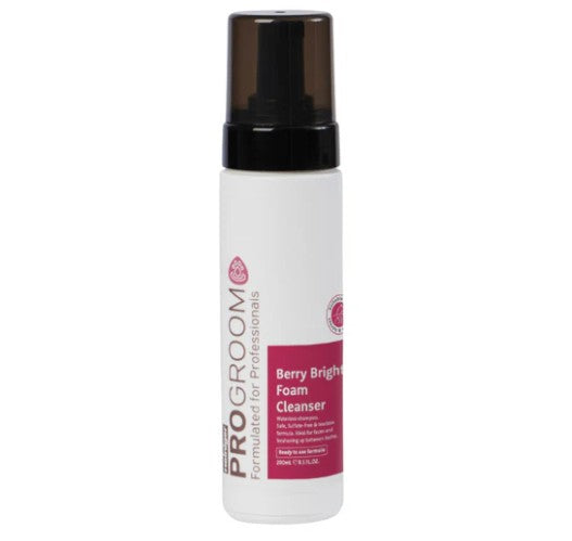 Berry Bright Foaming Cleanser